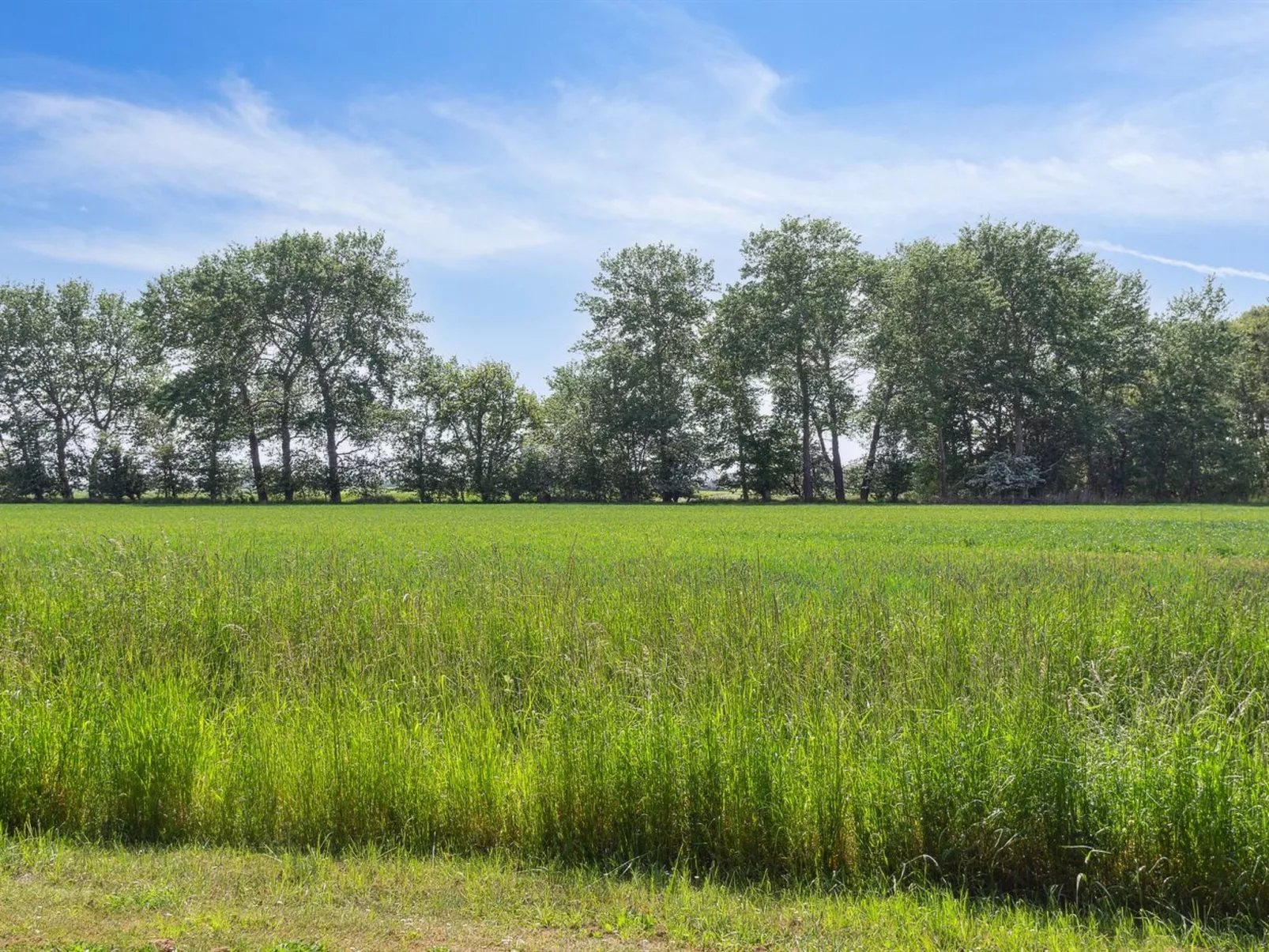 "Konrad" - 700m from the sea-Buiten