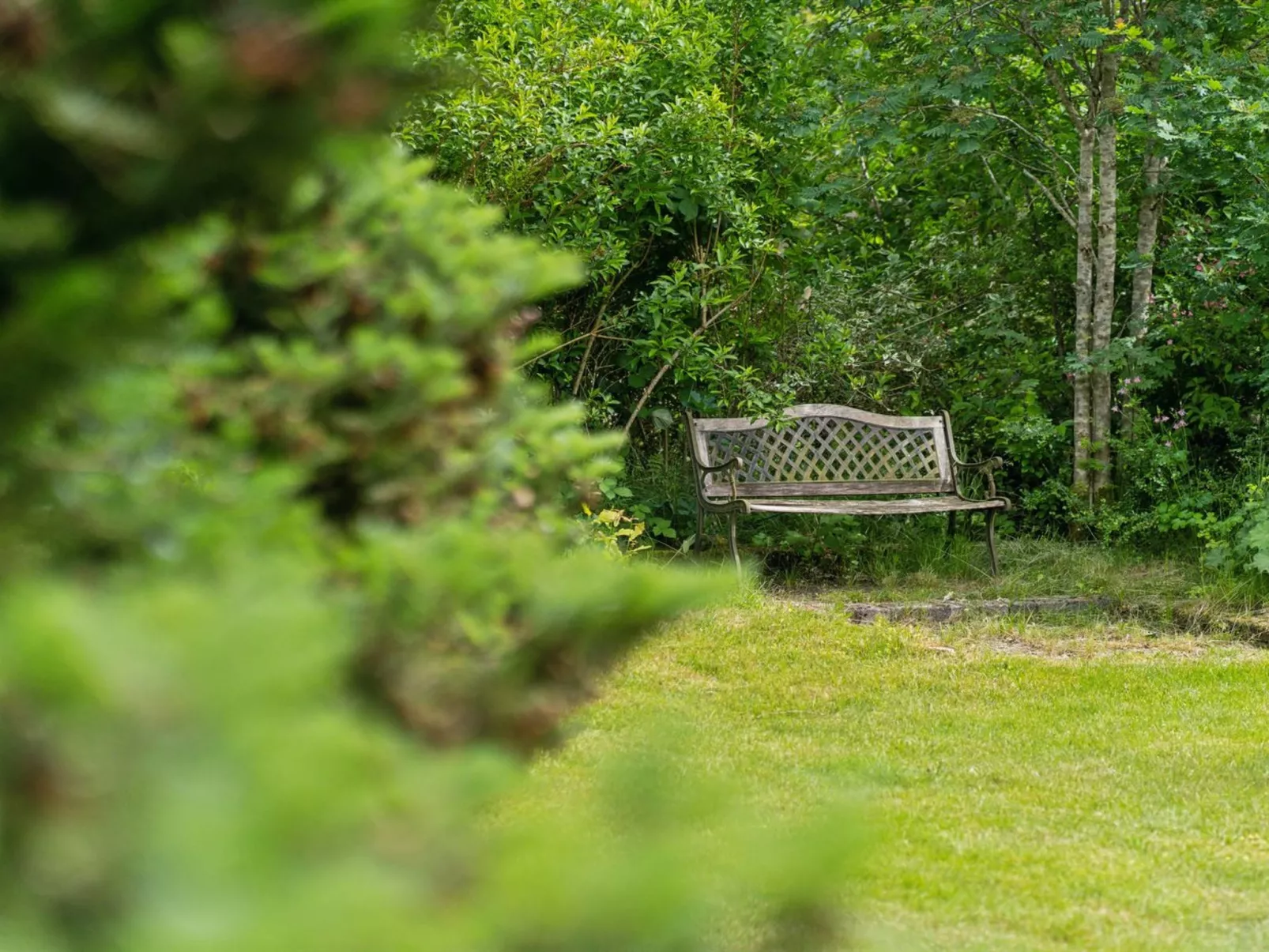 "Agnita" - 8km from the sea-Buiten