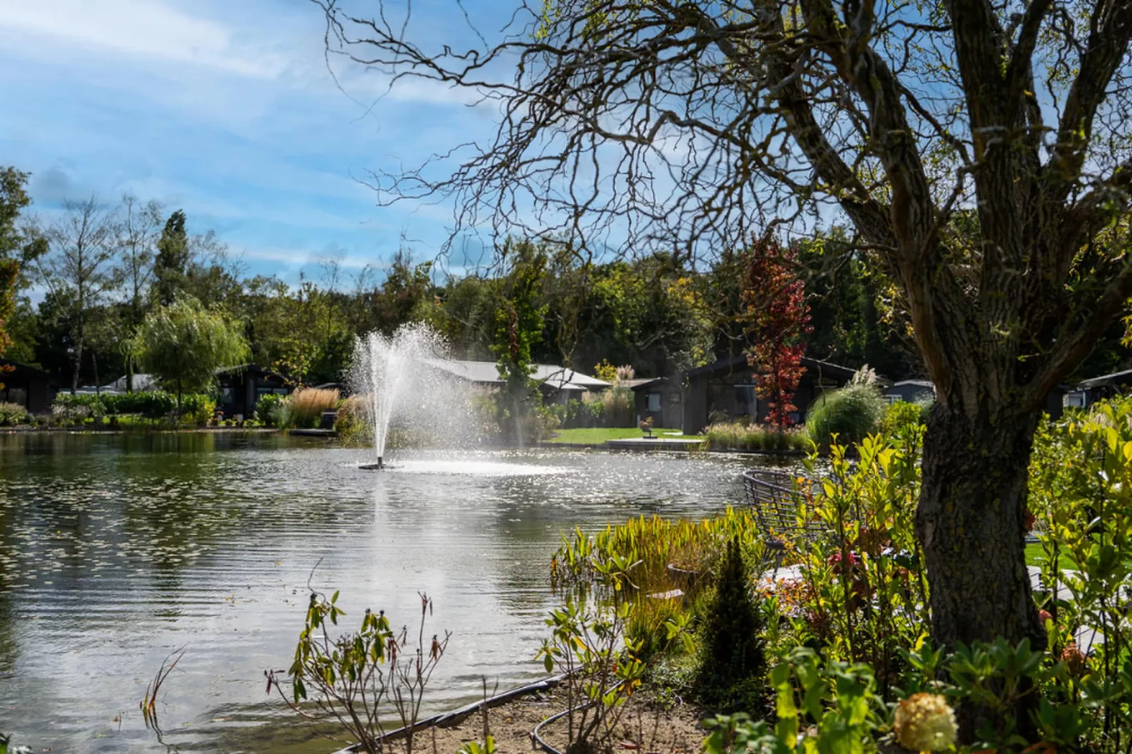 Vakantiepark Molenvelden 9-Gebieden zomer 1km
