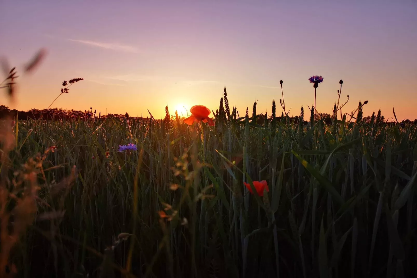 6 persoons vakantie huis in Skibby-By Traum-Niet-getagd