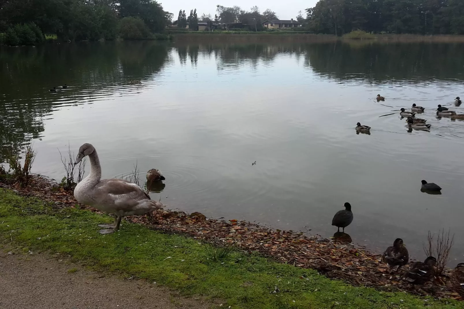 4 sterren vakantie huis in Løgstør-By Traum-Waterzicht