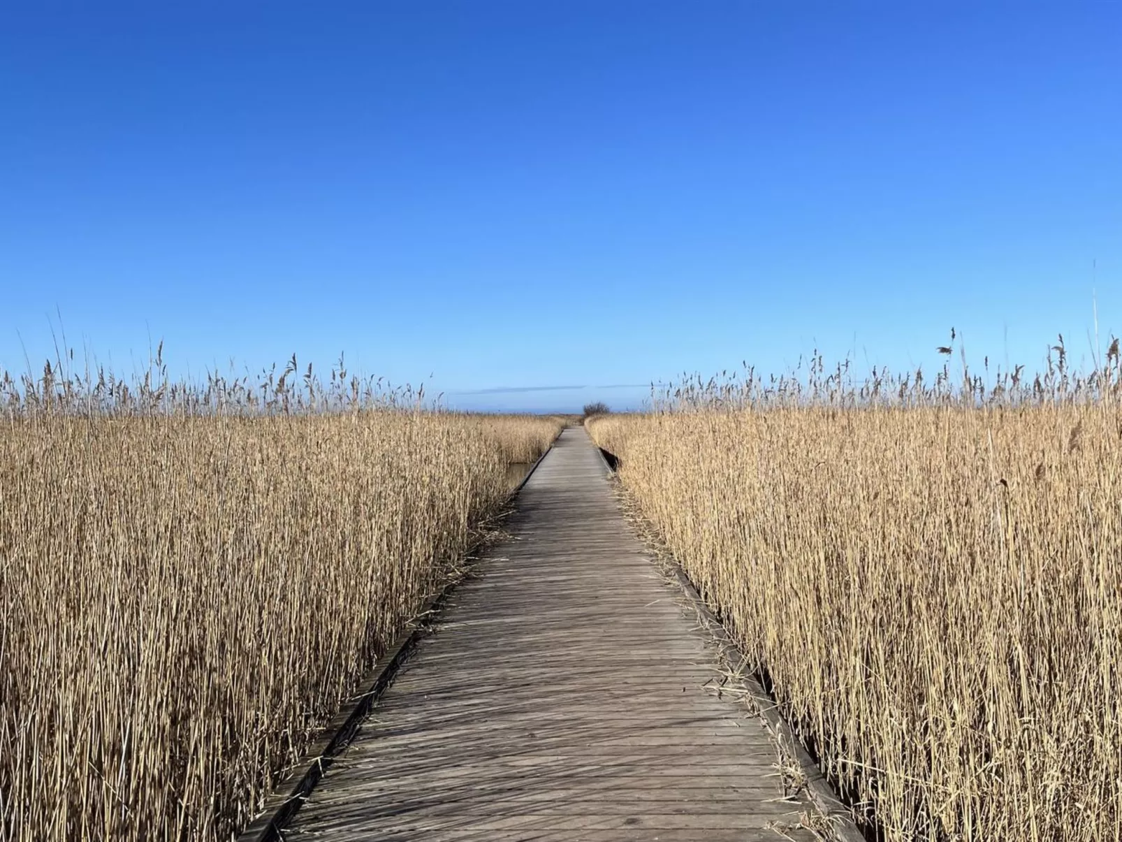 "Ela" - 800m from the sea-Buiten