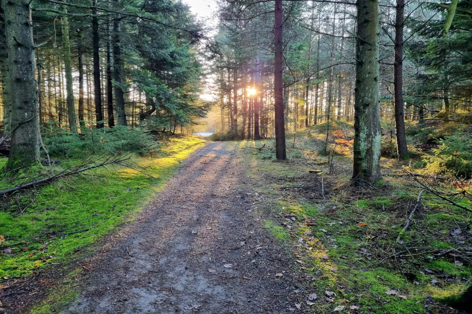 8 persoons vakantie huis in Pandrup-By Traum-Niet-getagd