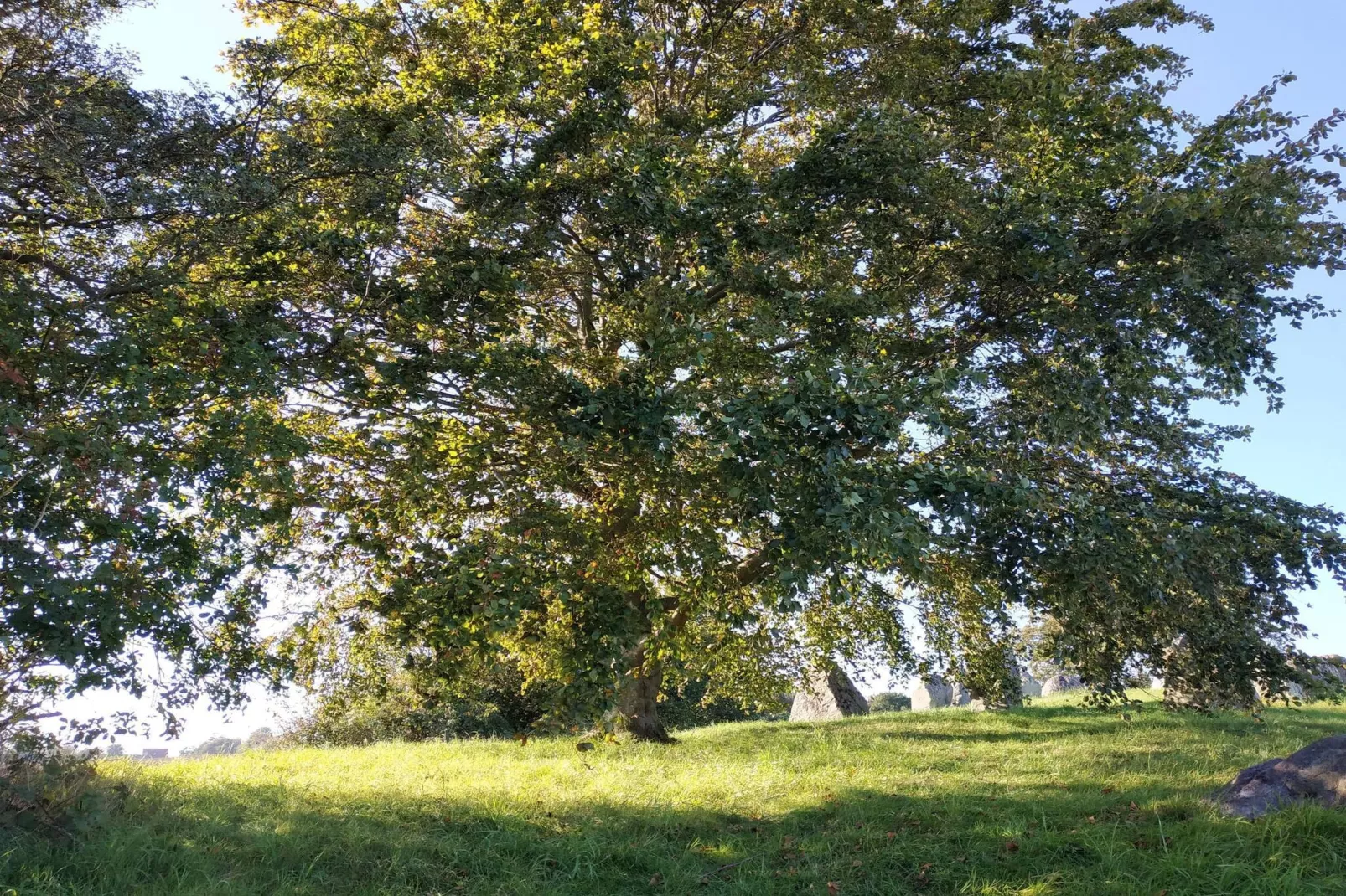 4 persoons vakantie huis in Grevinge-By Traum-Niet-getagd