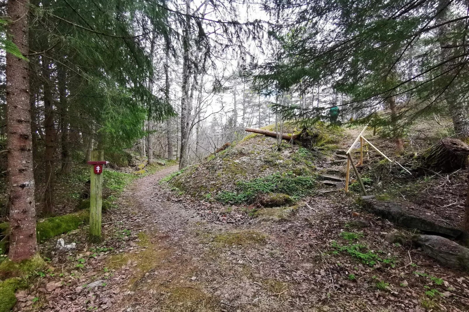 4 persoons vakantie huis in DALS ROSTOCK-Niet-getagd