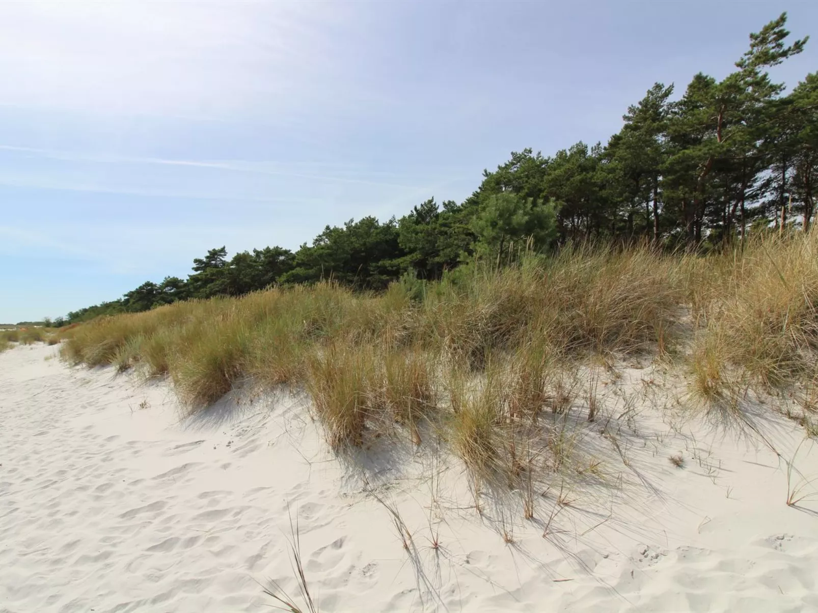 "Auvo" - 200m from the sea-Buiten