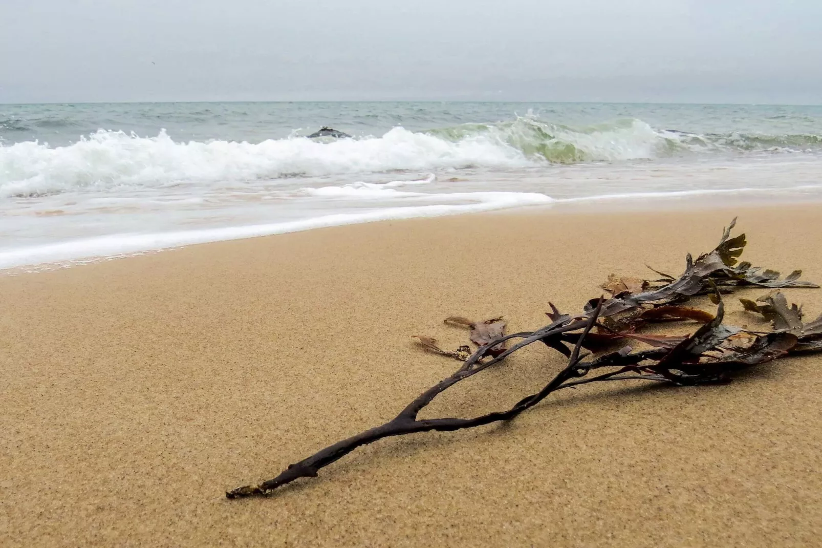 4 persoons vakantie huis in Gilleleje-By Traum-Waterzicht