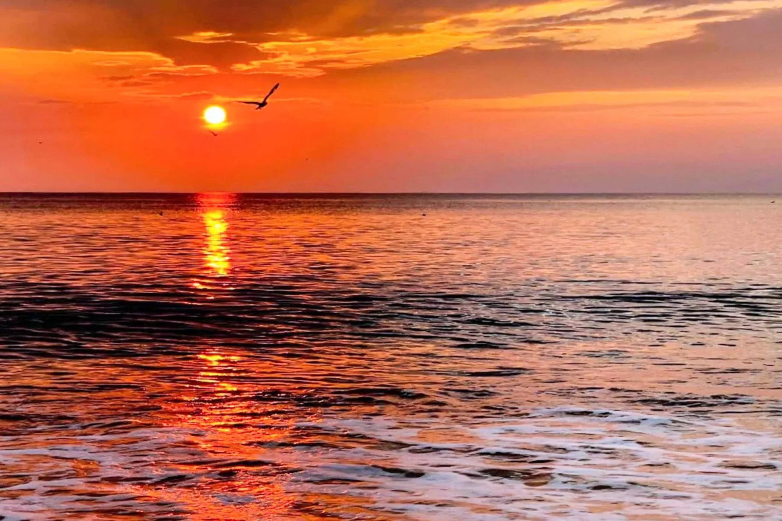 Luxe Poolhuis Retraite -- By Traum Ferienwohnungen-Waterzicht