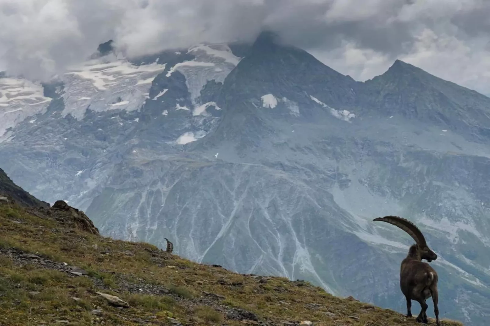 Chalet Etienne-Gebied winter 5km