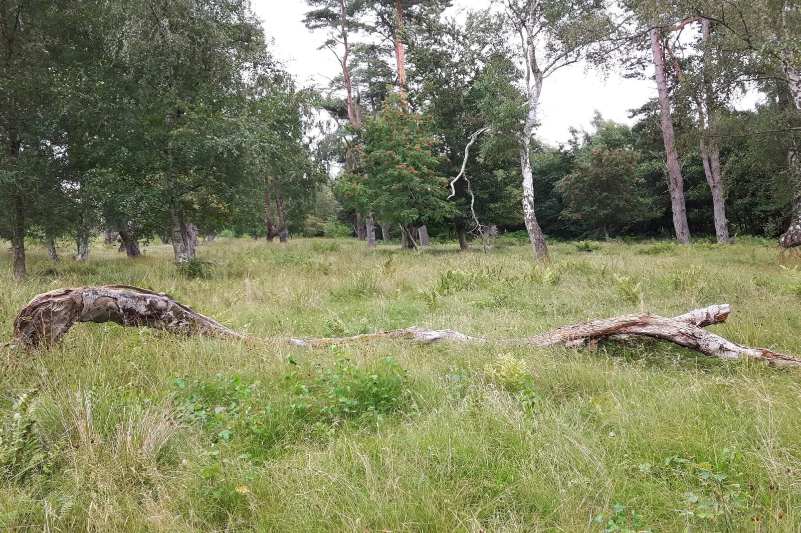 4 sterren vakantie huis in Væggerløse-Niet-getagd