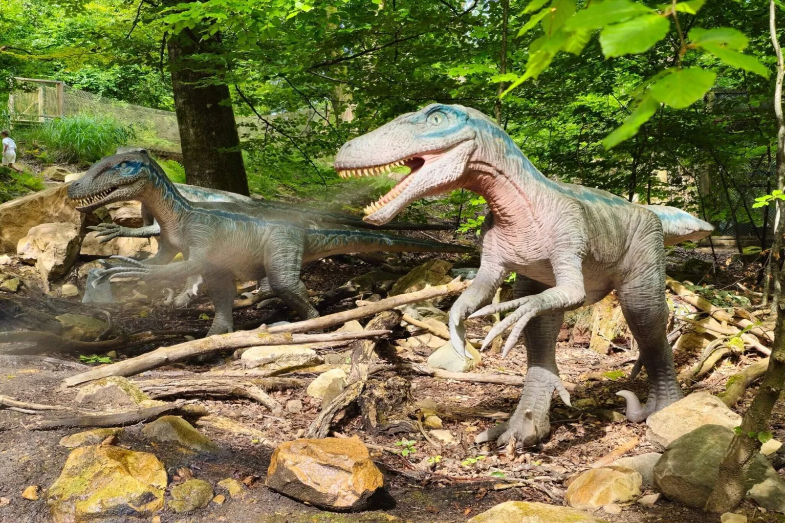 4 persoons vakantiehuis in Hoor-Niet-getagd