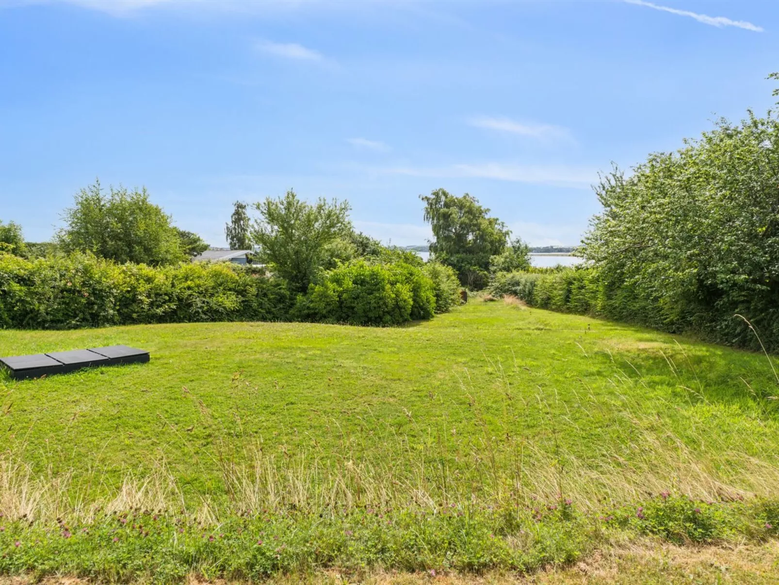 "Eero" - 175m to the fjord