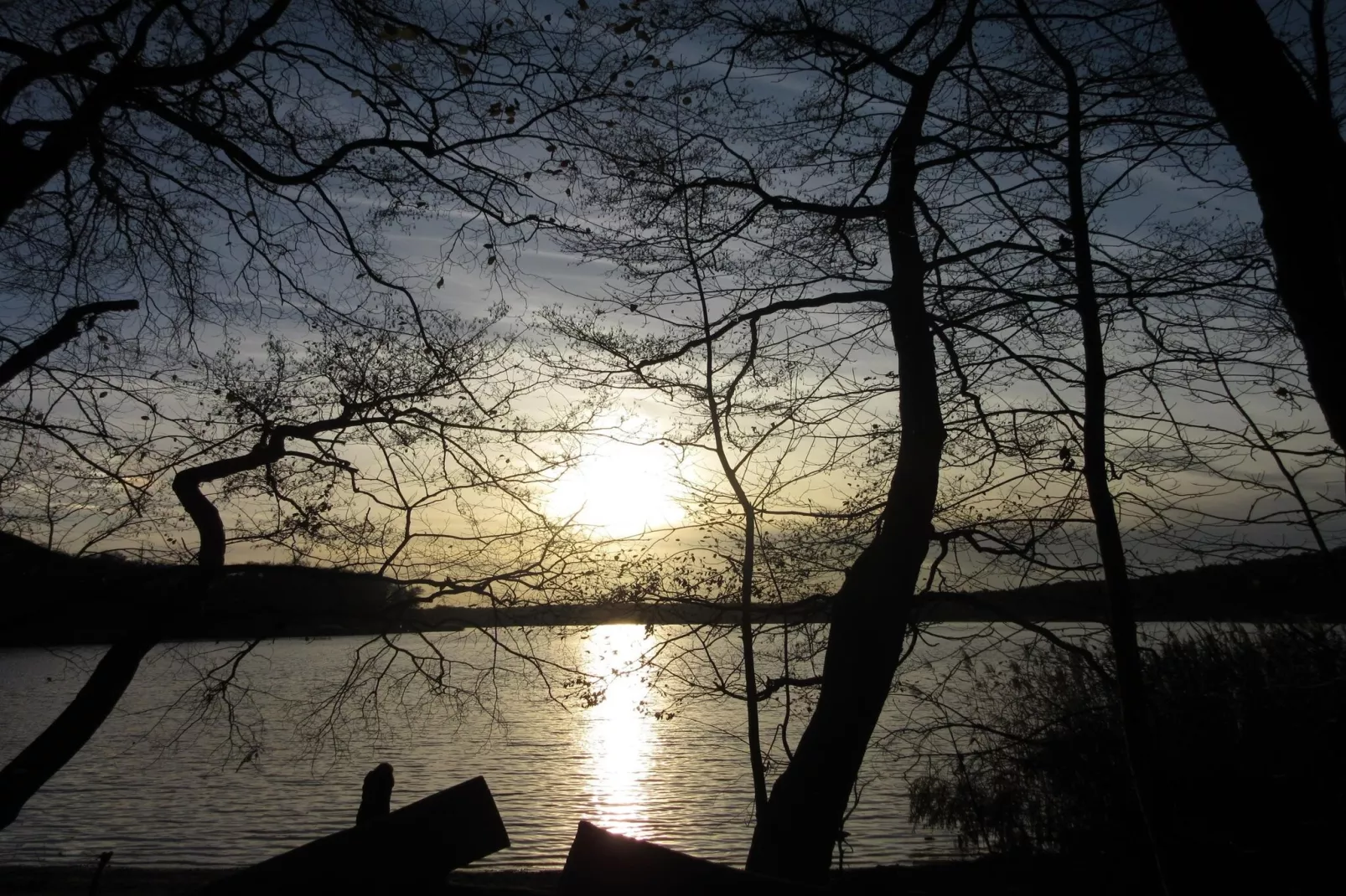 Luxus-Familienappartement / 2 Personen-Gebieden zomer 1km