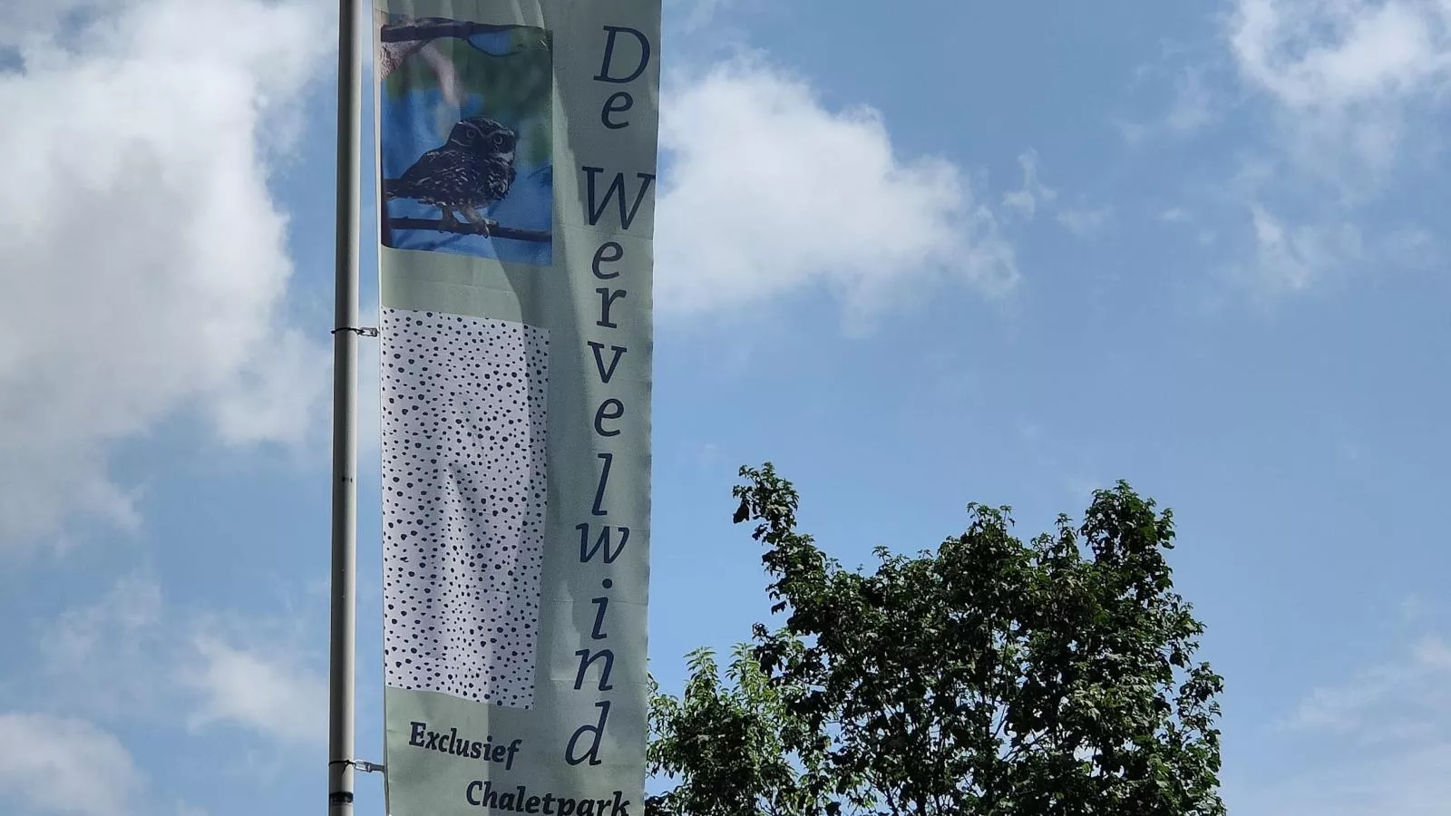 De Veluwse houtduif-Hal-ontvangst