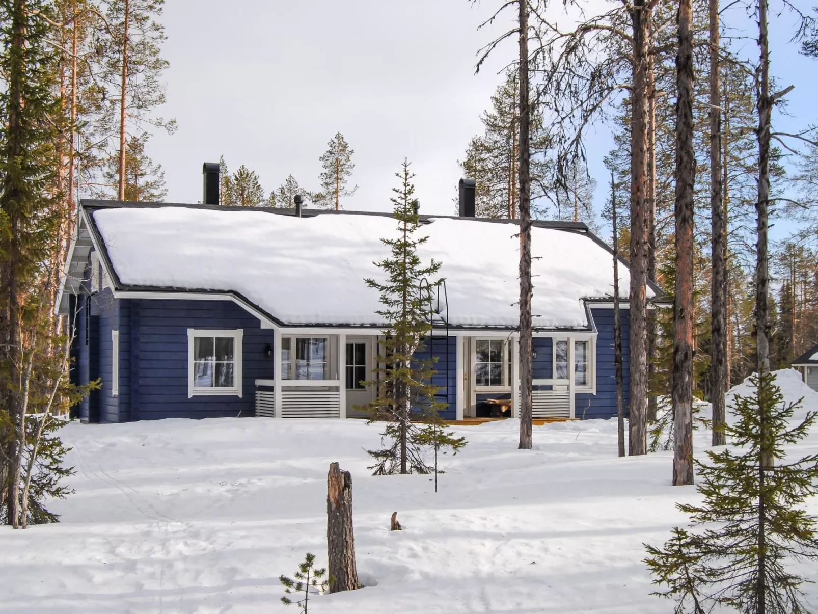 Ylläs mustikka b-Binnen