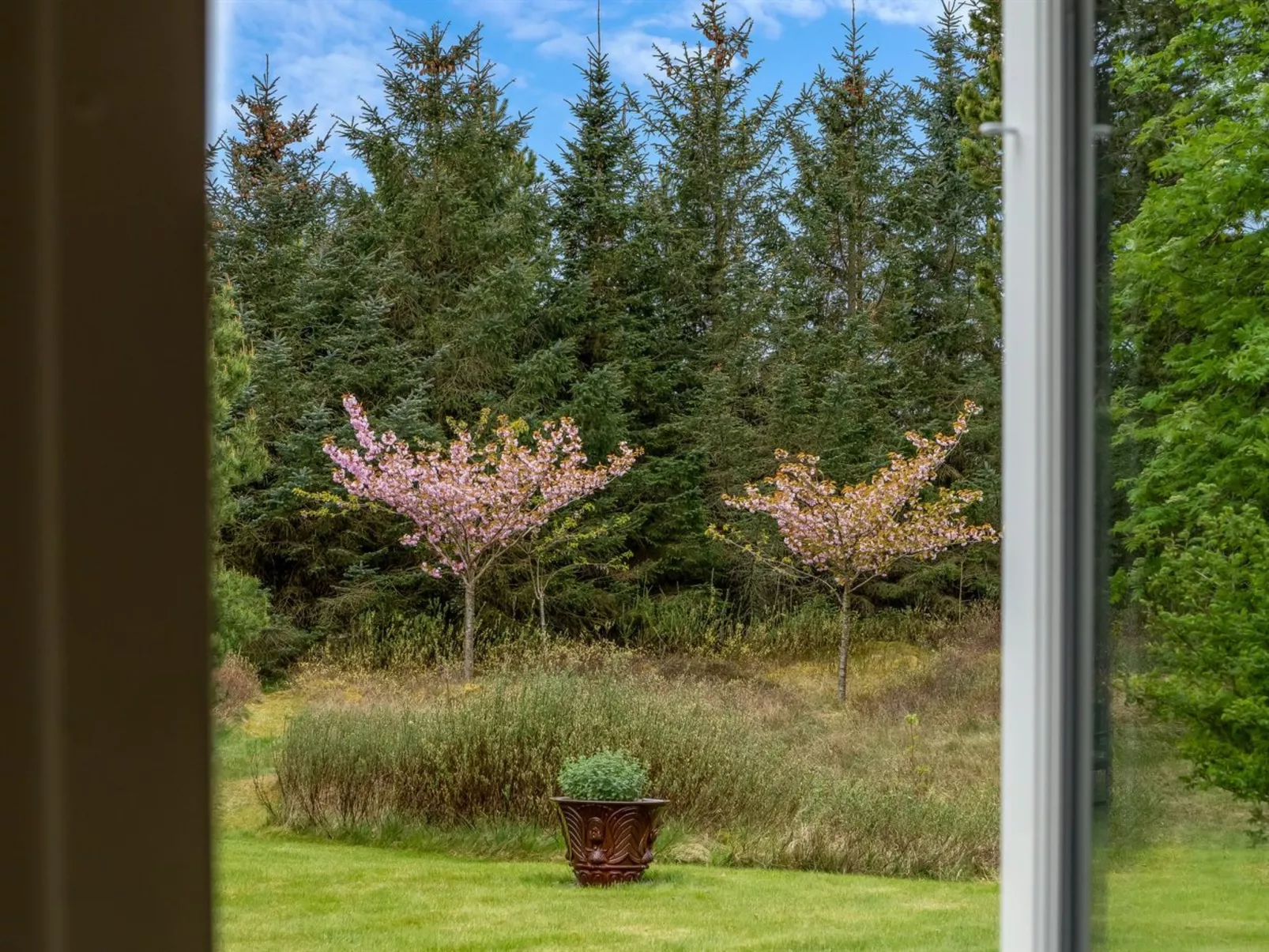 "Feli" - 180m from the sea-Buiten