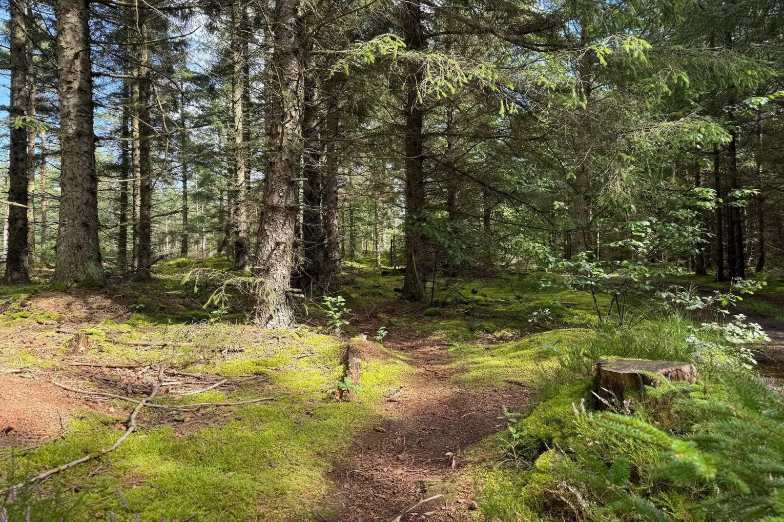 5 Personen vakantie huis in Snedsted-Niet-getagd