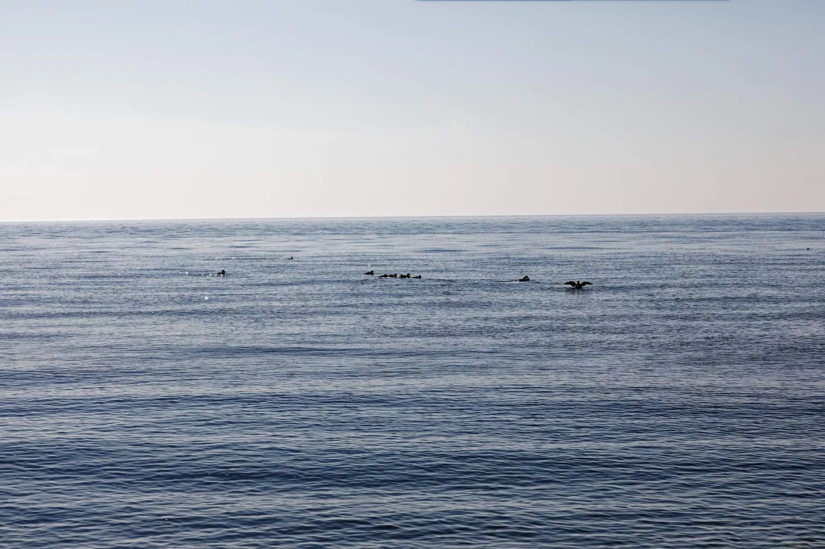 8 Personen vakantie huis in Bagenkop-Waterzicht