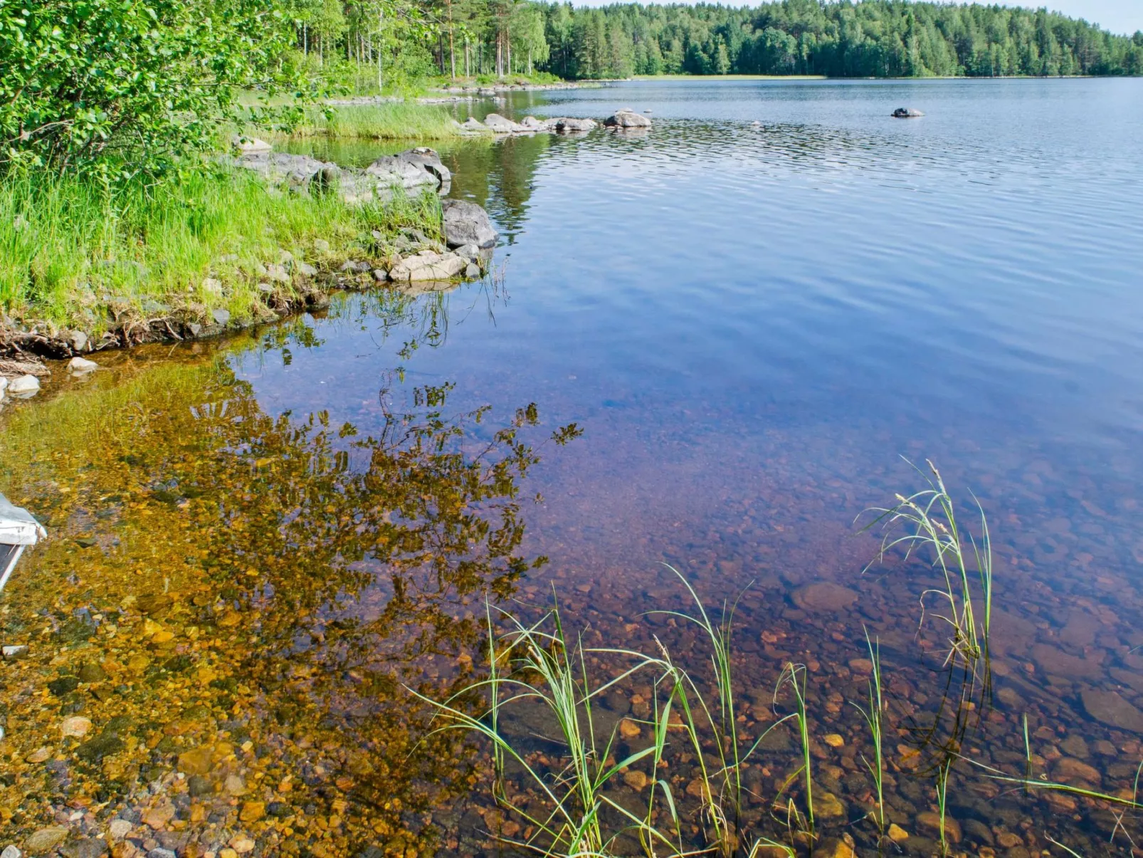 Amero purnu 3-Binnen