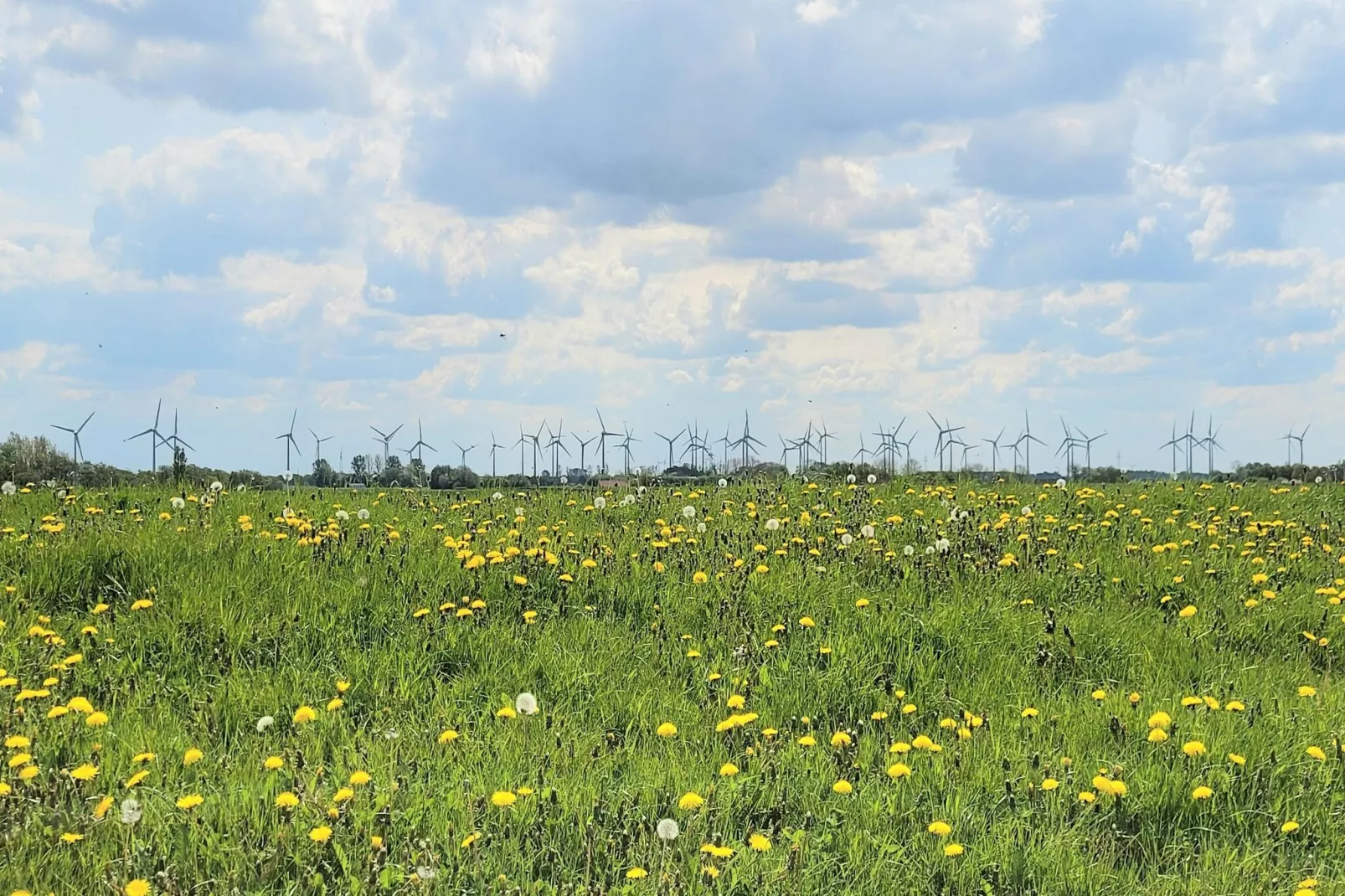Ferienhaus Mühlenblick 07-Gebieden zomer 5km