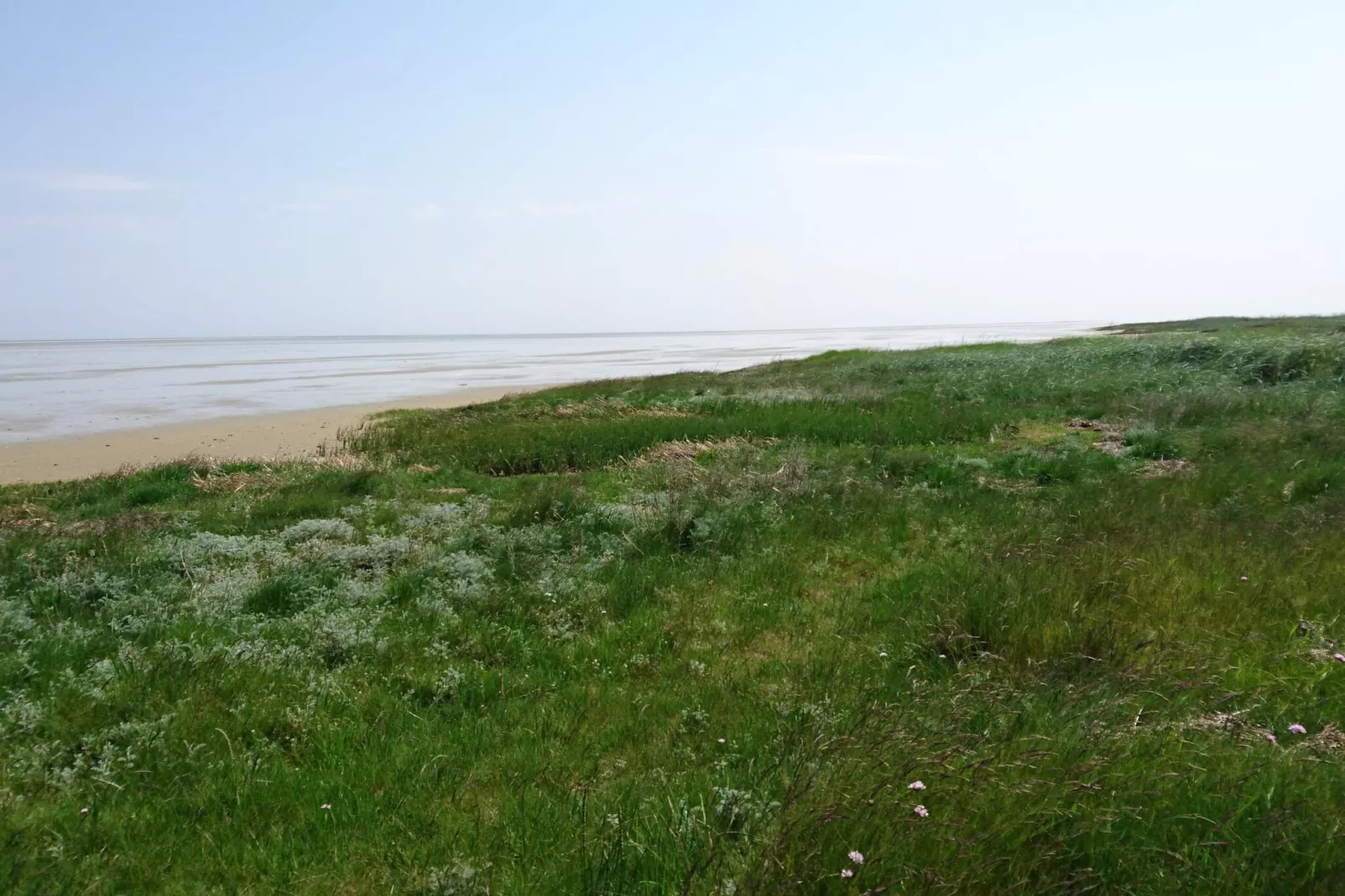 6 Personen vakantie huis in Hadsund-Niet-getagd