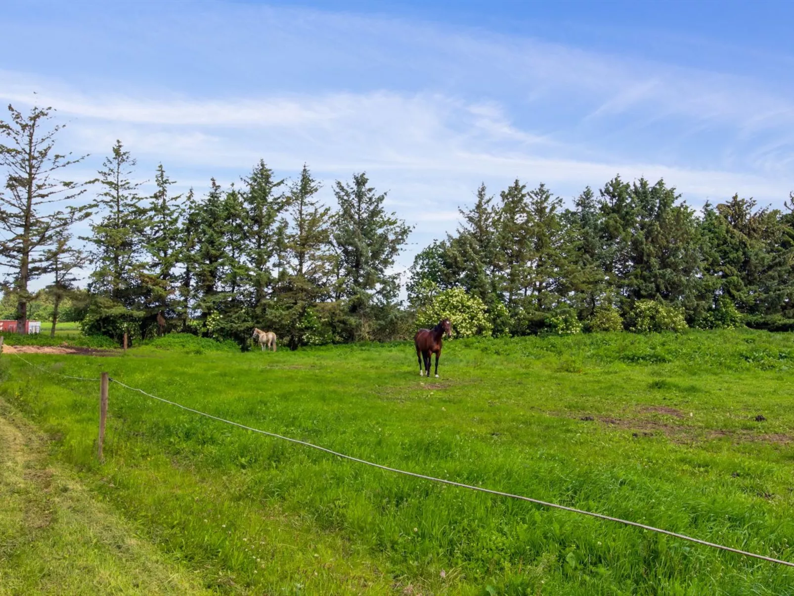 "Josefiina" - 22km from the sea-Buiten