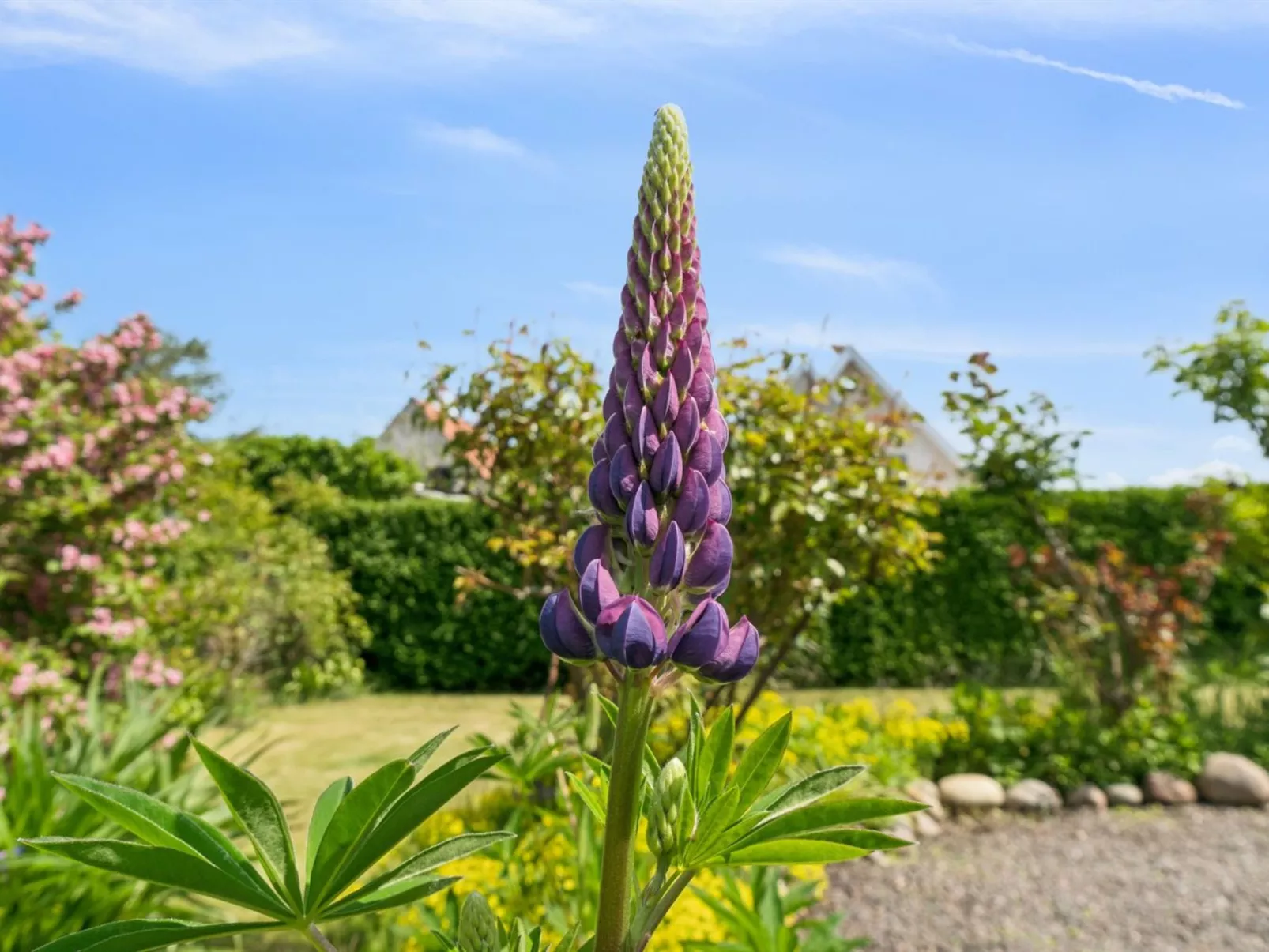 "Keld" - 350m from the sea-Buiten