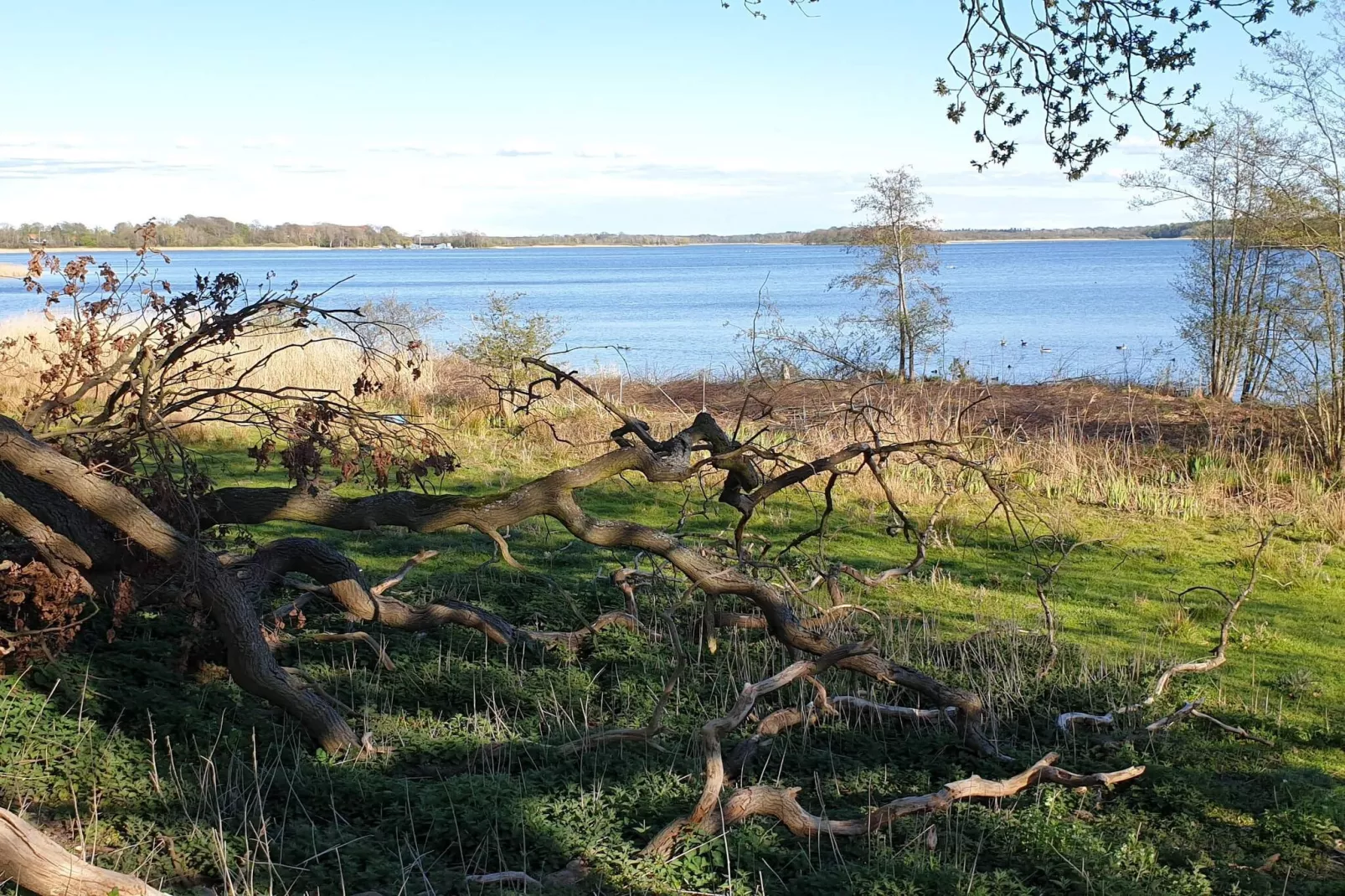 10 Personen vakantie huis in Maribo-Waterzicht