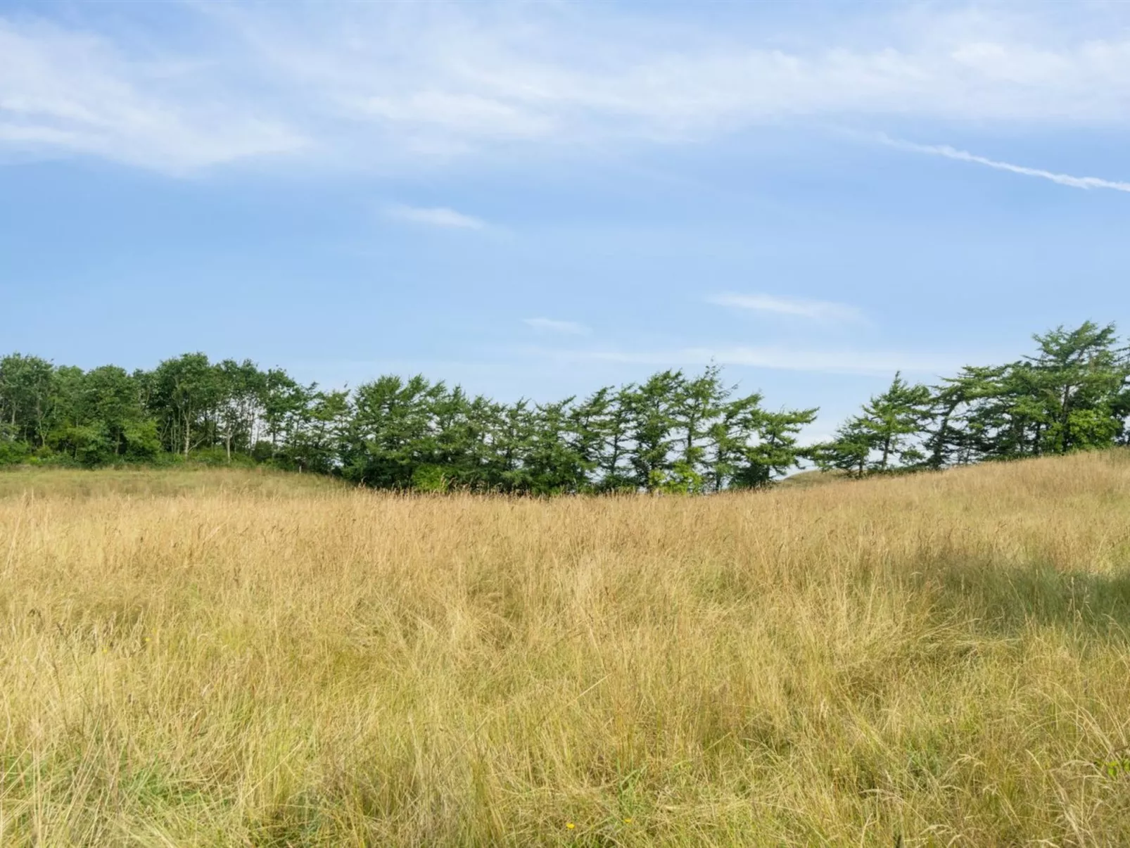 "Dorthie" - 1.7km from the sea-Buiten