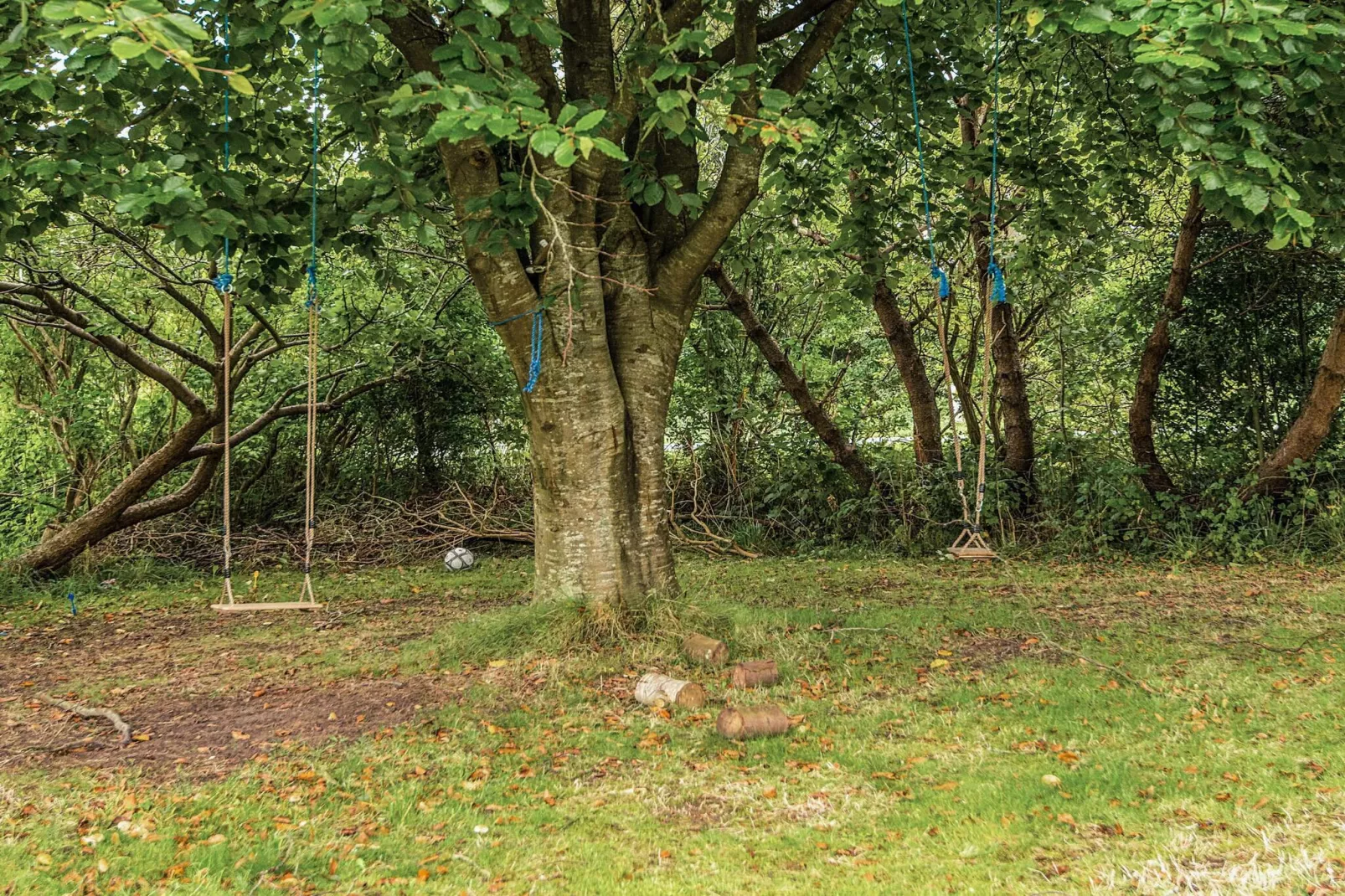 6 Personen vakantie huis in Gram-Uitzicht