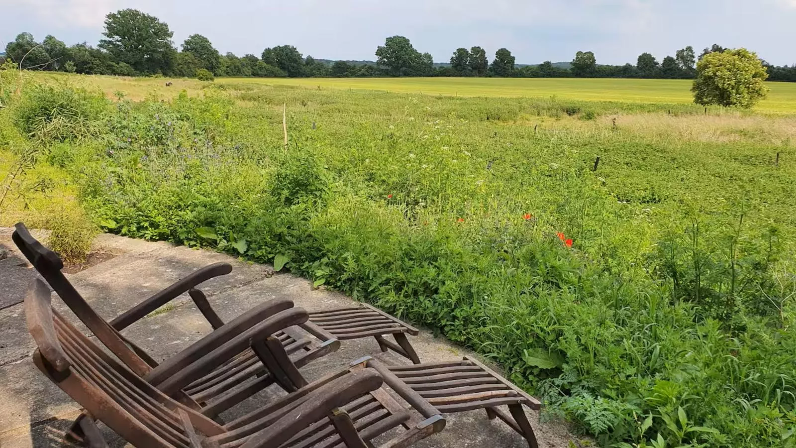 Glamour-Camping-Terrasbalkon