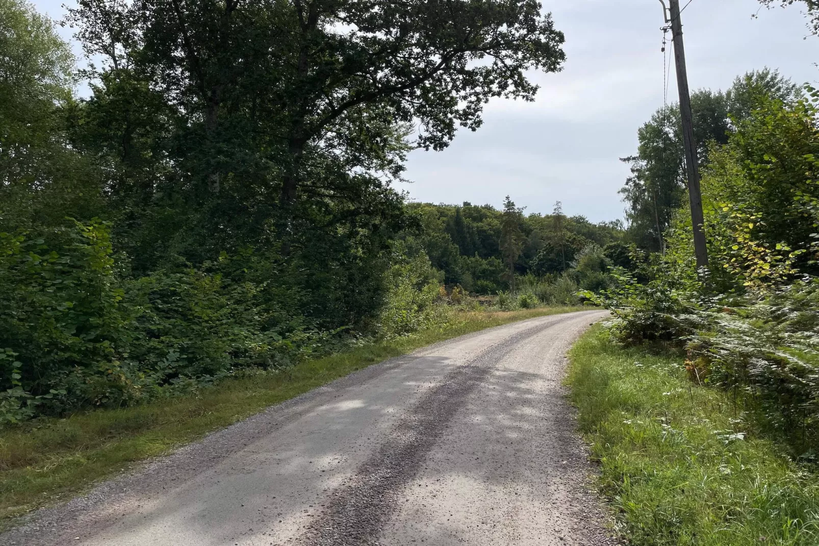 5 Personen vakantie huis in Immeln-Buitenlucht