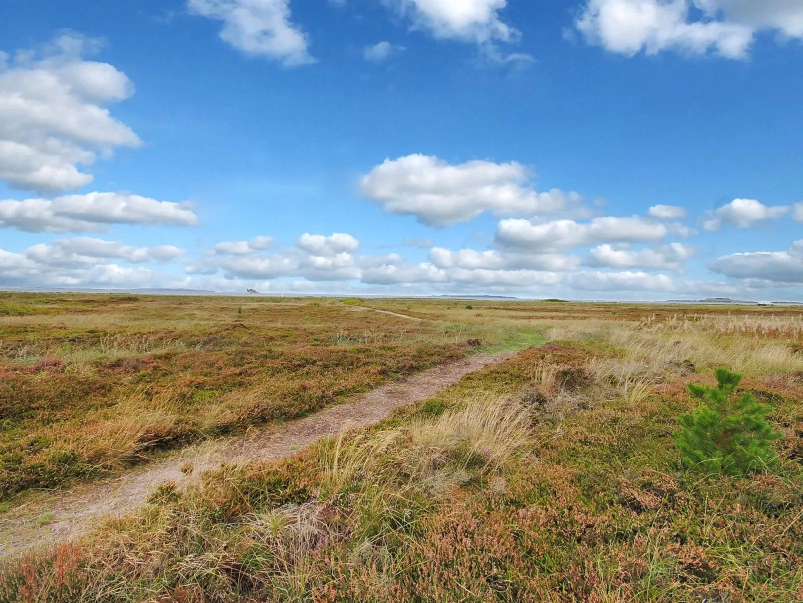 "Arisa" - 100m to the fjord-Buiten