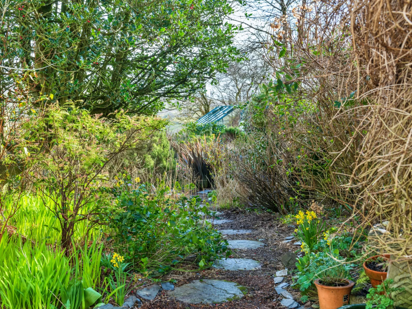 Dolwar Cottage-Buiten