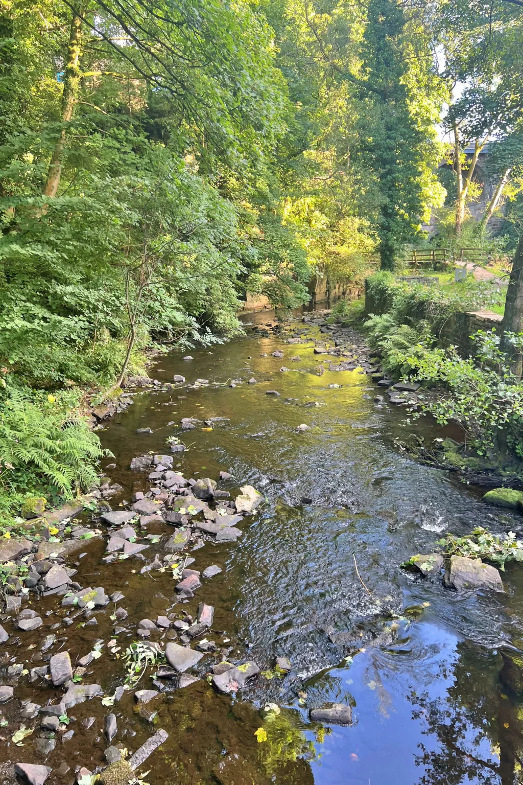 Suzy's Cottage-Binnen