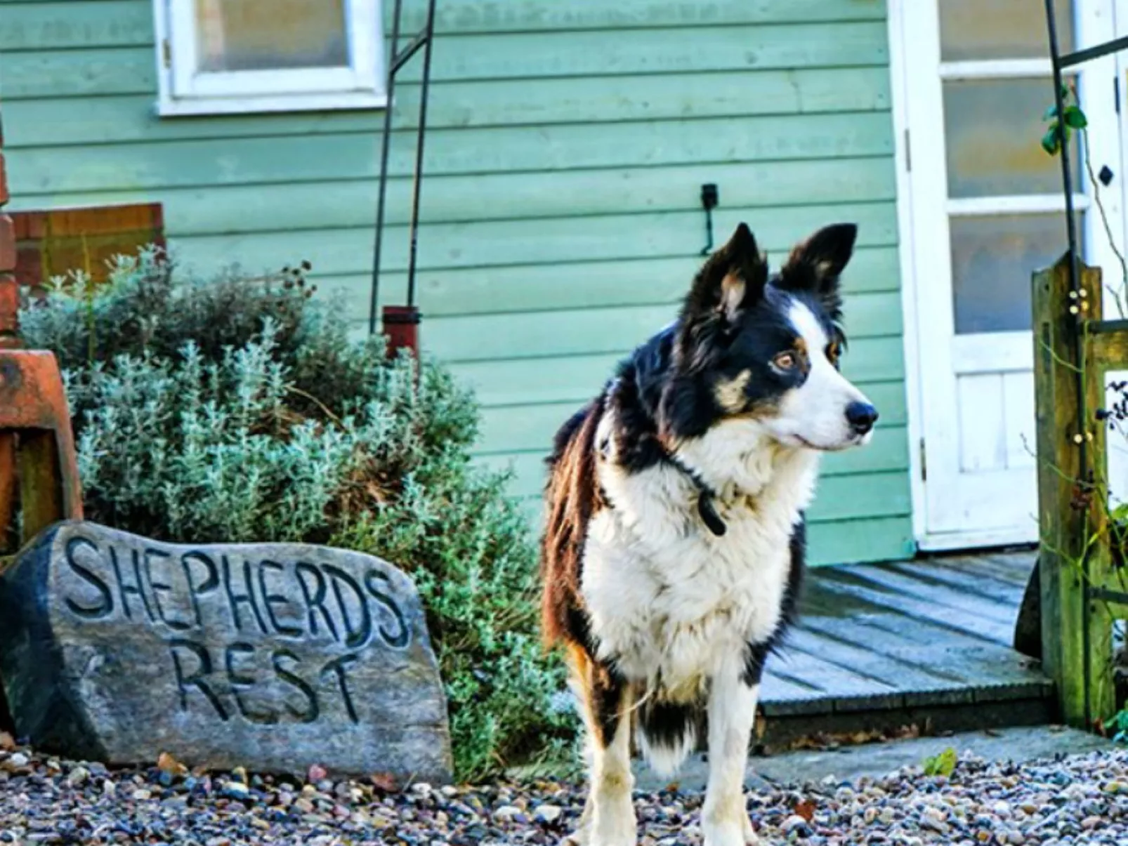 Shepherd's Rest at Morrells Wood-Buiten