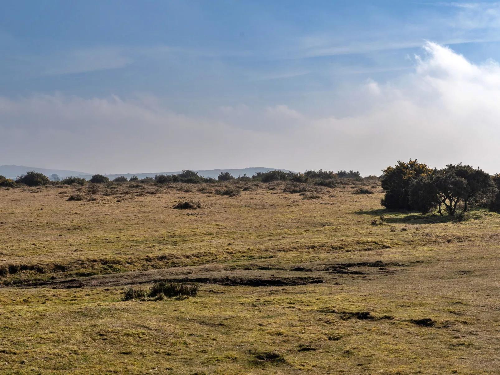 Stable Barn Apartment at Bodmin Moor-Binnen