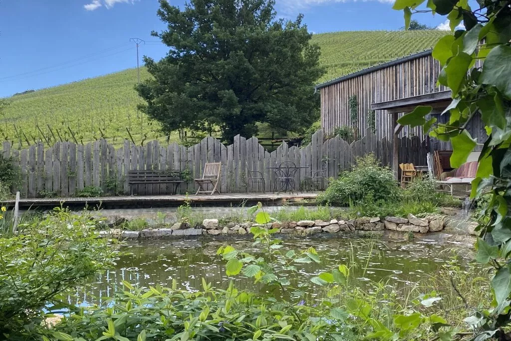 479485 - Niet-getagd