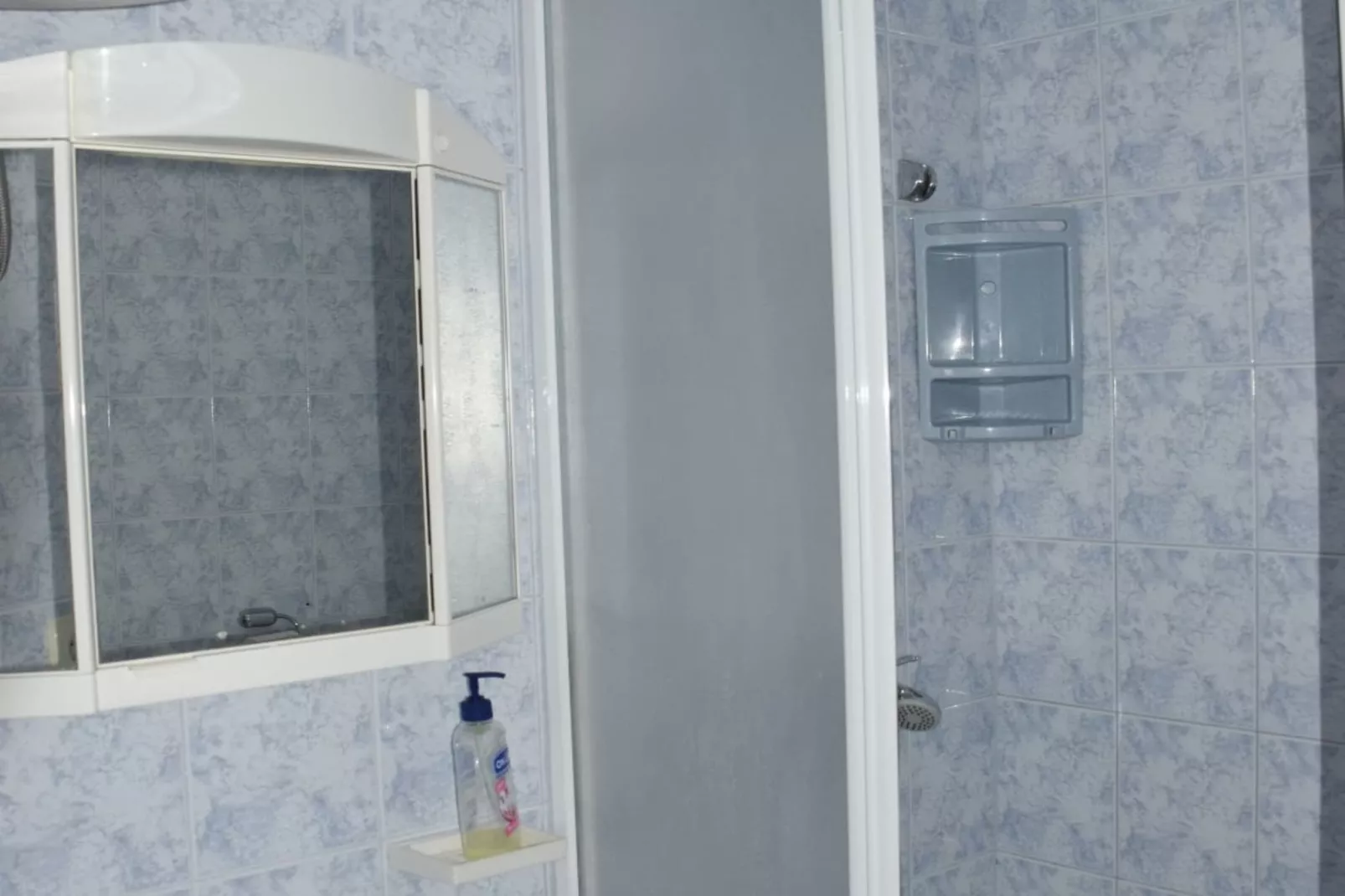 Apartments Dana - One Bedroom Apartment 3-Badkamer