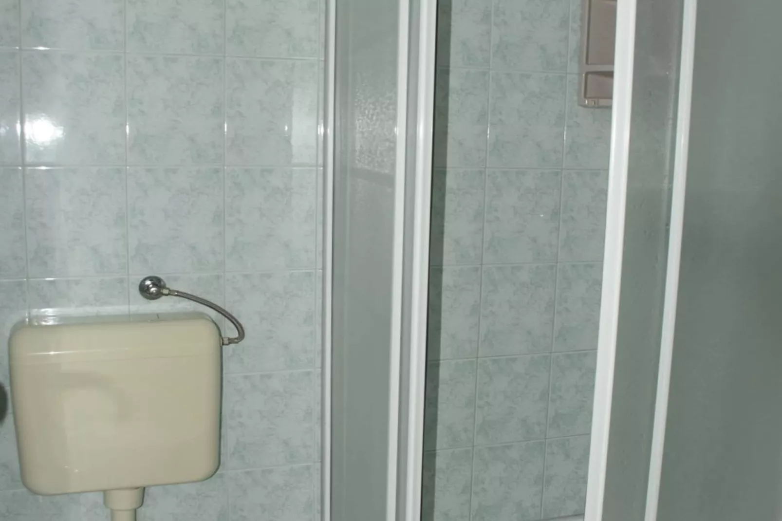 Apartments Dana - One Bedroom Apartment 4-Badkamer