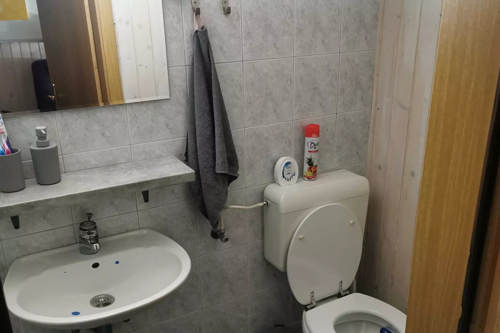 Mountain Vista Cottage with Private Sauna - One Bedroom Cottage-Badkamer