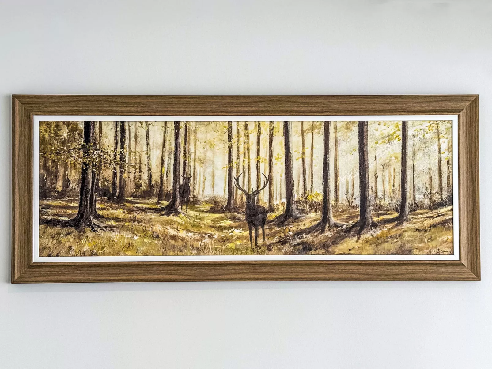 Gordonstoun Cottage-Buiten