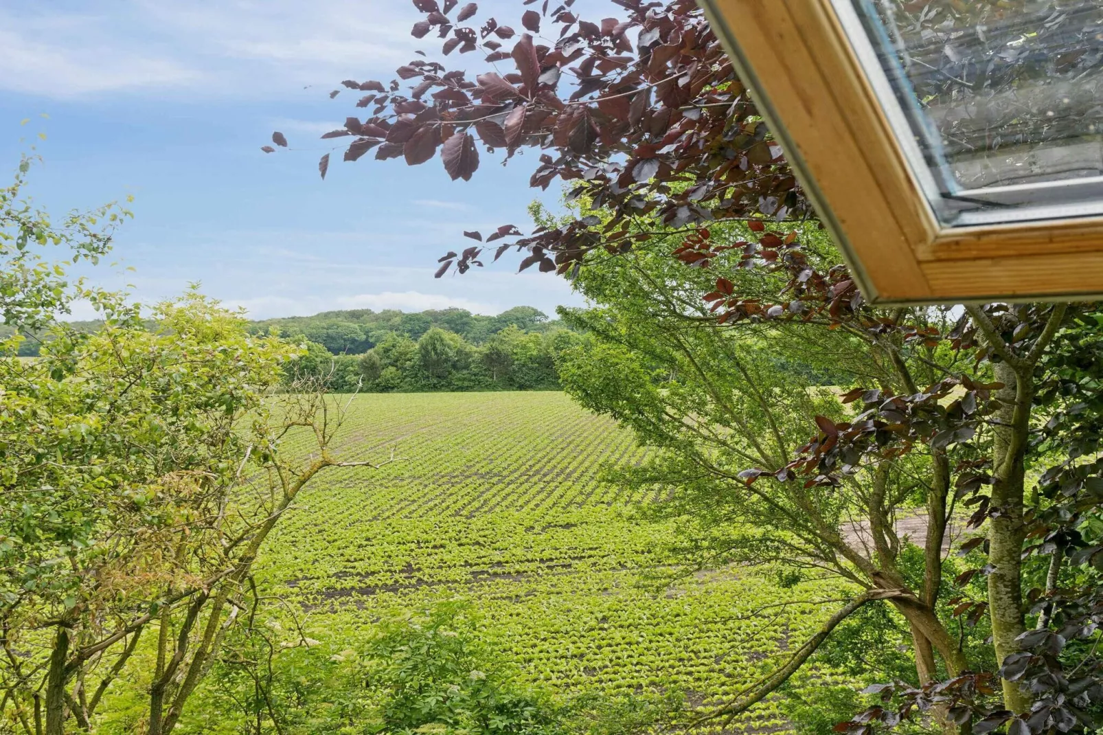 5 sterren vakantie huis in Vesterborg-Buitenlucht