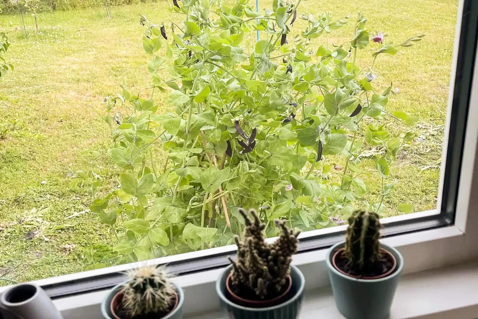 5 sterren vakantie huis in Slagelse-Binnen