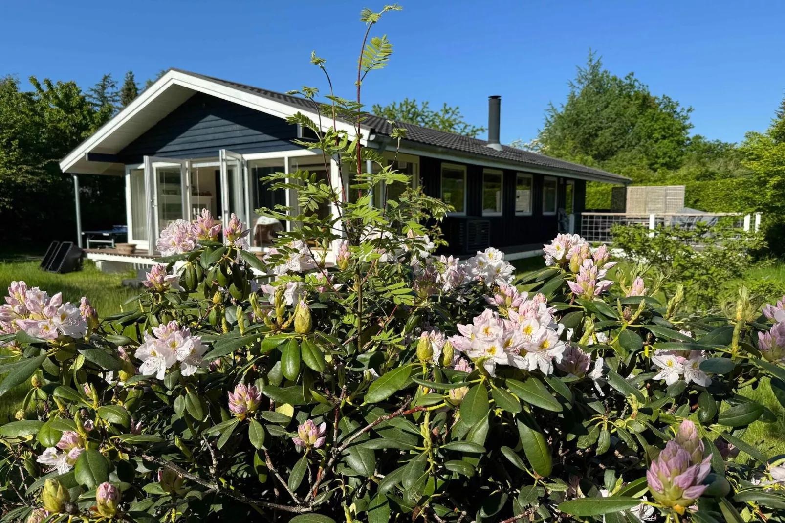 5 sterren vakantie huis in Græsted-Buitenlucht