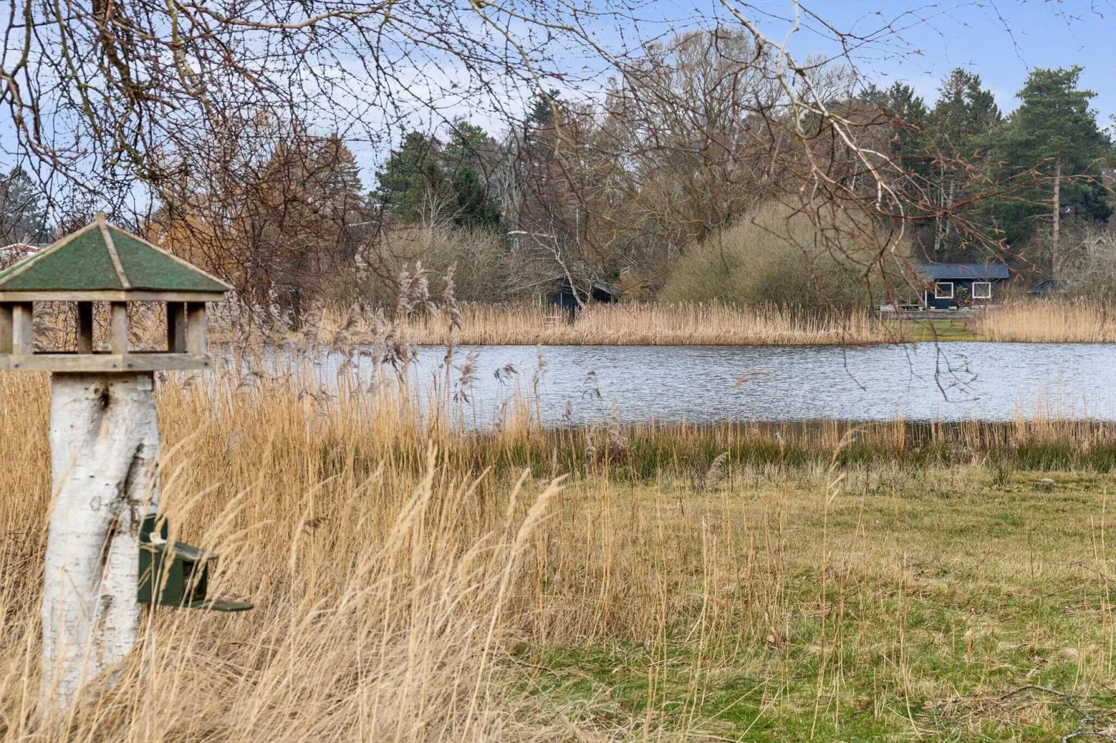 5 sterren vakantie huis in Jægerspris