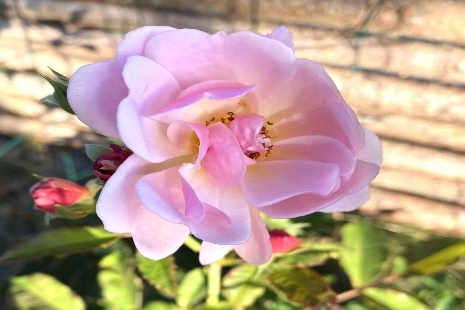 5 sterren vakantie huis in Gørlev-Buitenlucht