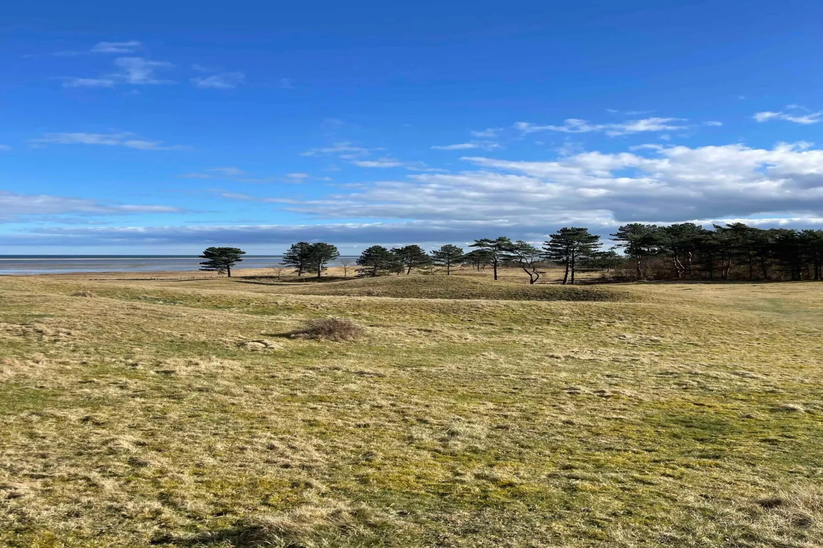 5 sterren vakantie huis in Hadsund-Buitenlucht