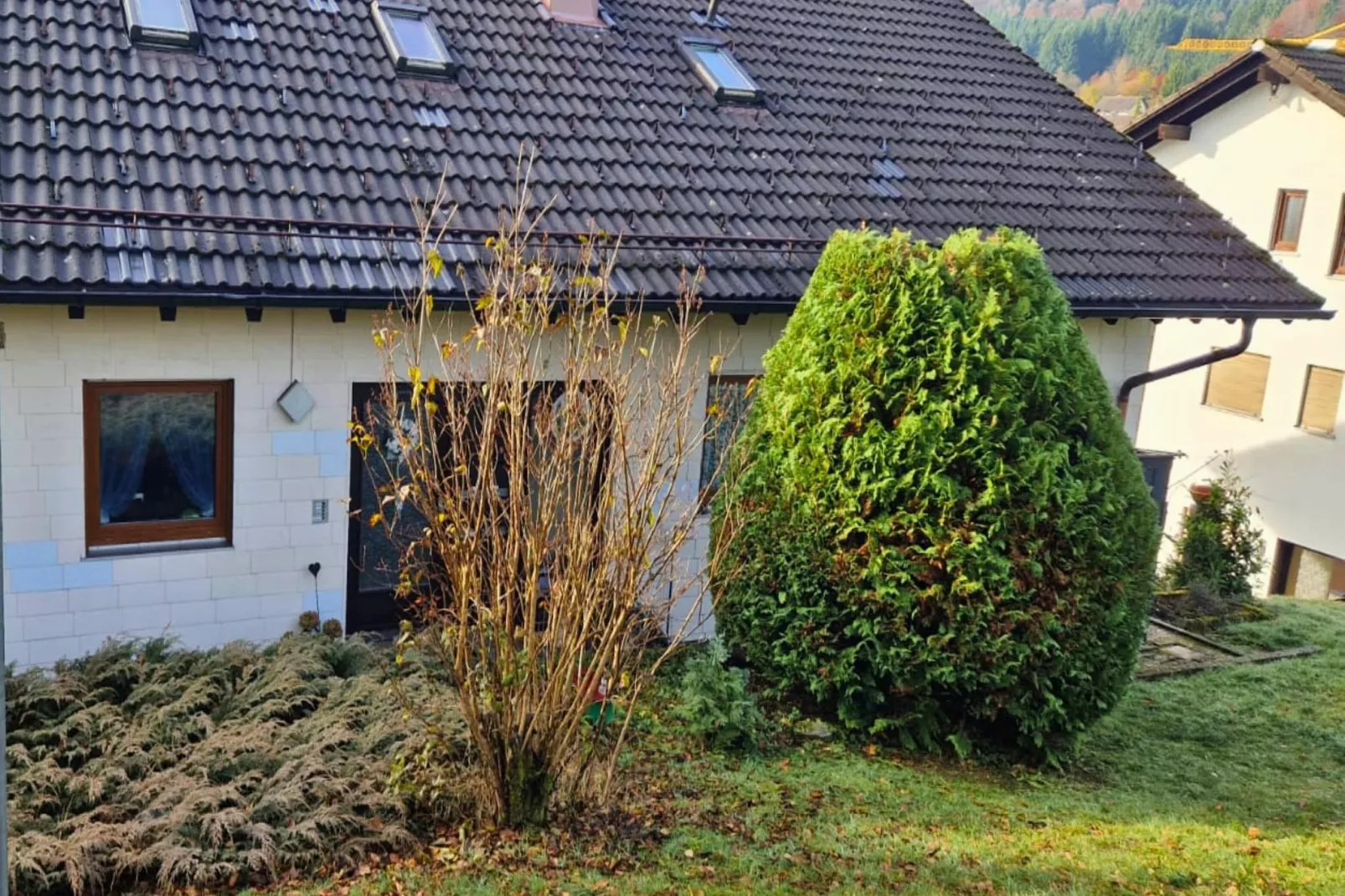Ferienwohnung Herrischried an der Skipiste-Buitenkant zomer