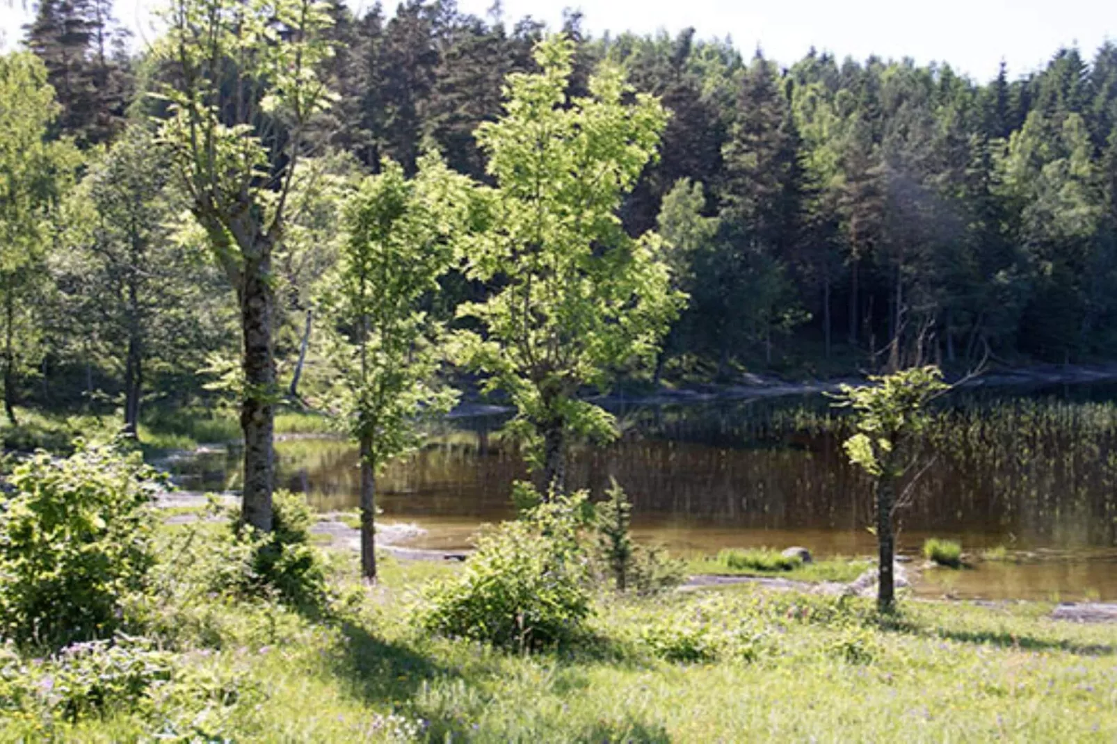 5 Personen vakantie huis in KÖPMANNEBRO-Buitenlucht